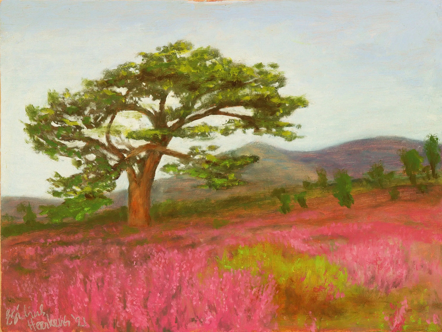 Tree Pine Highlands. Original plein air oil painting landscape one of a kind handmade impressionist 12 x 16 " artwork Egidius Heerkens