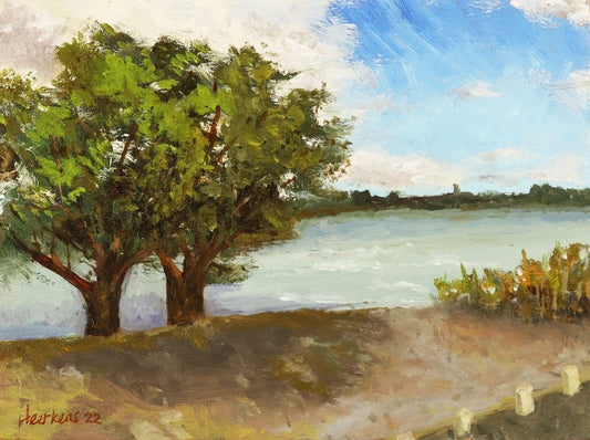 Wigan and Leigh Flashes. Landscape original one of a kind handmade oil painting impressionist artwork plein air 6 x 8" art